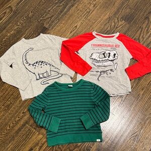 2 Dinosaur Long Sleeve Tees and striped sweater